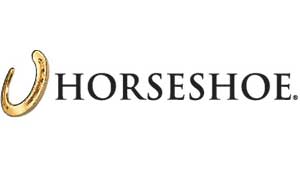 mini golf rentals image