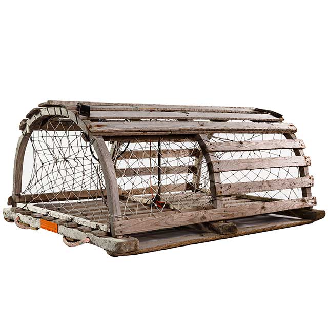 Mini Golf Obstacle Rentals CT image